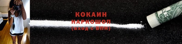 шишки Михайлов