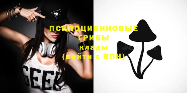 мдпв Навашино