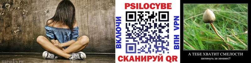 Псилоцибиновые грибы Magic Shrooms МЕГА как войти Камешково дарнет шоп