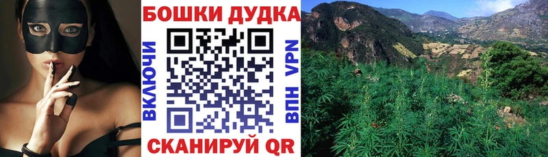 Канабис OG Kush  shop формула  Камешково  закладка  ОМГ ОМГ вход 